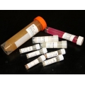 Cell Culture Supplements, Reagents